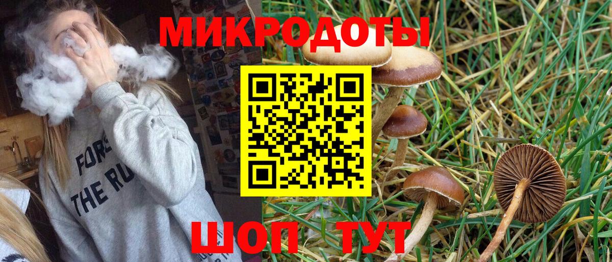 Псилоцибиновые грибы Psilocybe Омск
